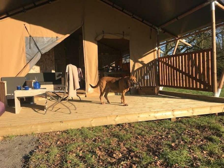Lapwing Safari Tent Cheltenham Exterior foto